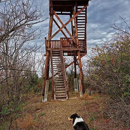 El Bronco Western Ranch Izsák