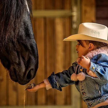 El Bronco Western Ranch 3*