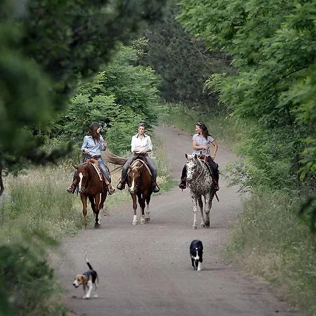 Üdülőközpont El Bronco Western Ranch