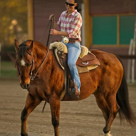 El Bronco Western Ranch