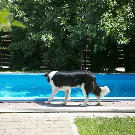El Bronco Western Ranch Izsák