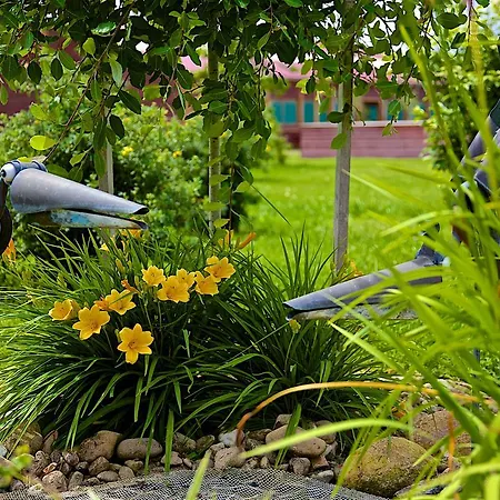 El Bronco Western Ranch Izsák