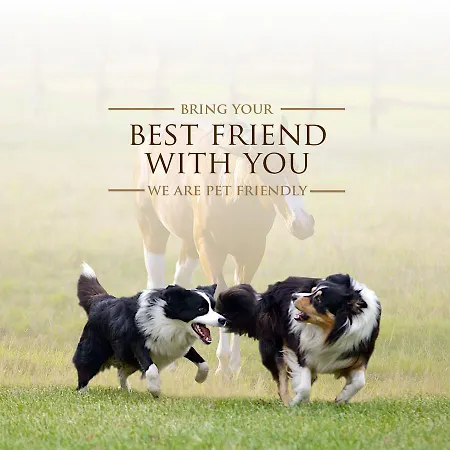 El Bronco Western Ranch Üdülőközpont 3*