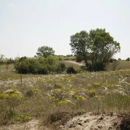 El Bronco Western Ranch