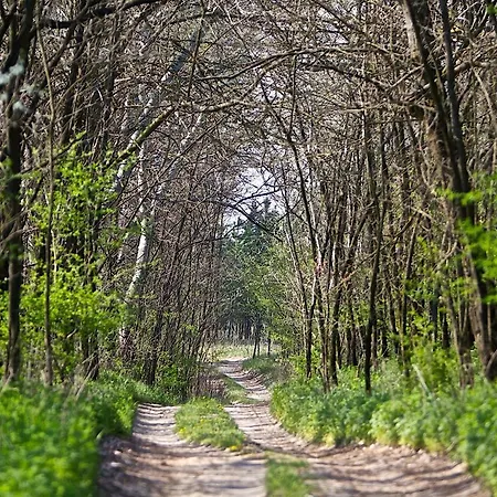 El Bronco Western Ranch 3* Izsák