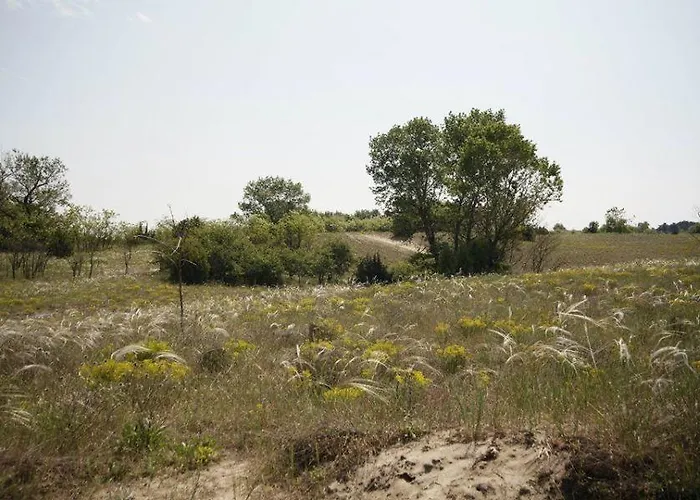 El Bronco Western Ranch